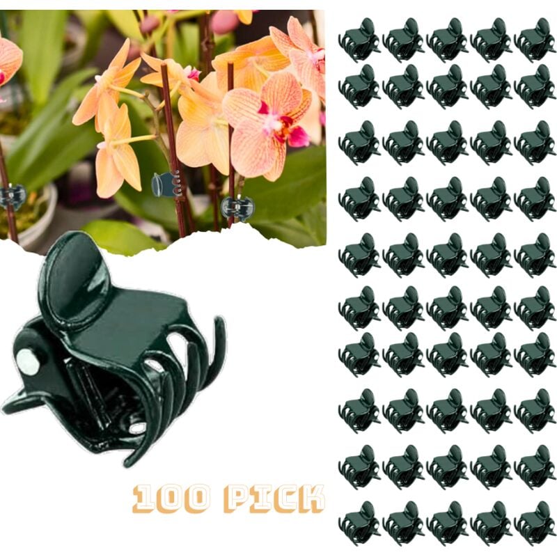100 Stück Stützklammern für Pflanzen, Klammern für grüne Pflanzen, Klammern für Orchideen, Klammern für die Befestigung von Pflanzen und Kunststoff,