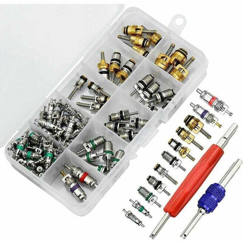 102-teiliger Klimaanlagen-Ventileinsatz, R134A-Ventilschafteinsätze für Kfz-Klimaanlagen mit Entfernungswerkzeug für die Reparatur von