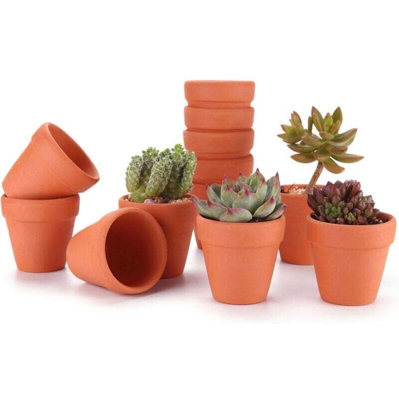 12 Terrakotta-Sukkulententöpfe (6,5 cm) für Kakteen, Blumen und Pflanzen Tontöpfe für Kakteen, Sukkulenten, Blumen und gärtnerische Dekoration für