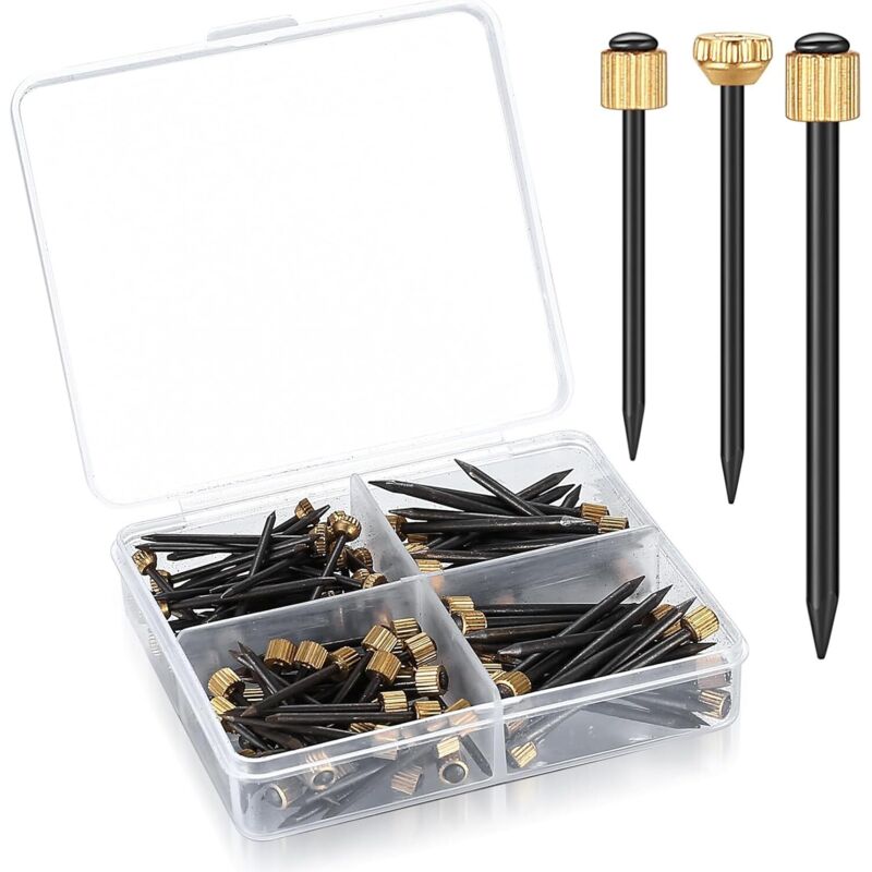 120 Stück Stahlnägel für Bildernägel, Nägel Bilder Aufhängen, Wandnägel für Bilder, 26/27/35mm Länge Betonnägel, Messingkopf Stahlstifte Nägel Set
