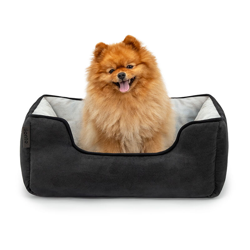 2-in-1 Hundebett Hundekissen Hundekörbchen Hundesofa Größe s 60x50 cm schwarz/grau - Lionto