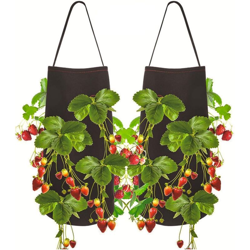 Stück Erdbeer-Pflanzbeutel, Kartoffel-Pflanzbeutel, Gemüse-Anbaubeutel mit Fenster und Griff für Erdbeeren, Tomaten, Gemüse
