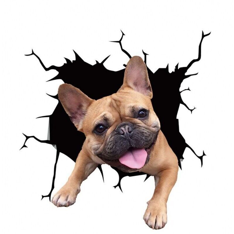 (20 cm x 20 cm) 4er-Set Autoaufkleber mit Hundemotiv, 3D-Labrador-Autoaufkleber, individuelle lustige Autoaufkleber mit französischer Bulldogge,