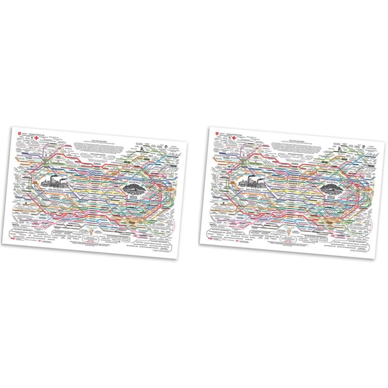 2X Heilungsnetz-Poster, Natürliche Heilmittel, Diagramm, Leinwand, Wandkunst, Horizontaler Posterdruck, Poster für Psychische Gesundheit