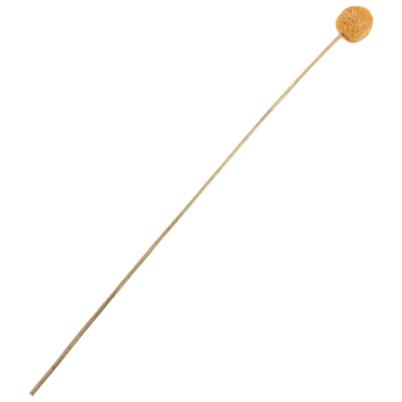 40 StüCk Getrocknete Craspedia Blumen Taste BäLle Blumen, Getrockneter Blumenstrauß für Arrangements Hochzeit Hause