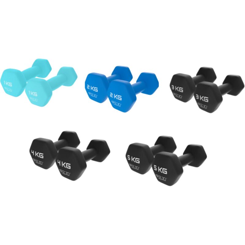 4FIZJO Klassische Hanteln für Übungen, 2 Stück, 3 kg