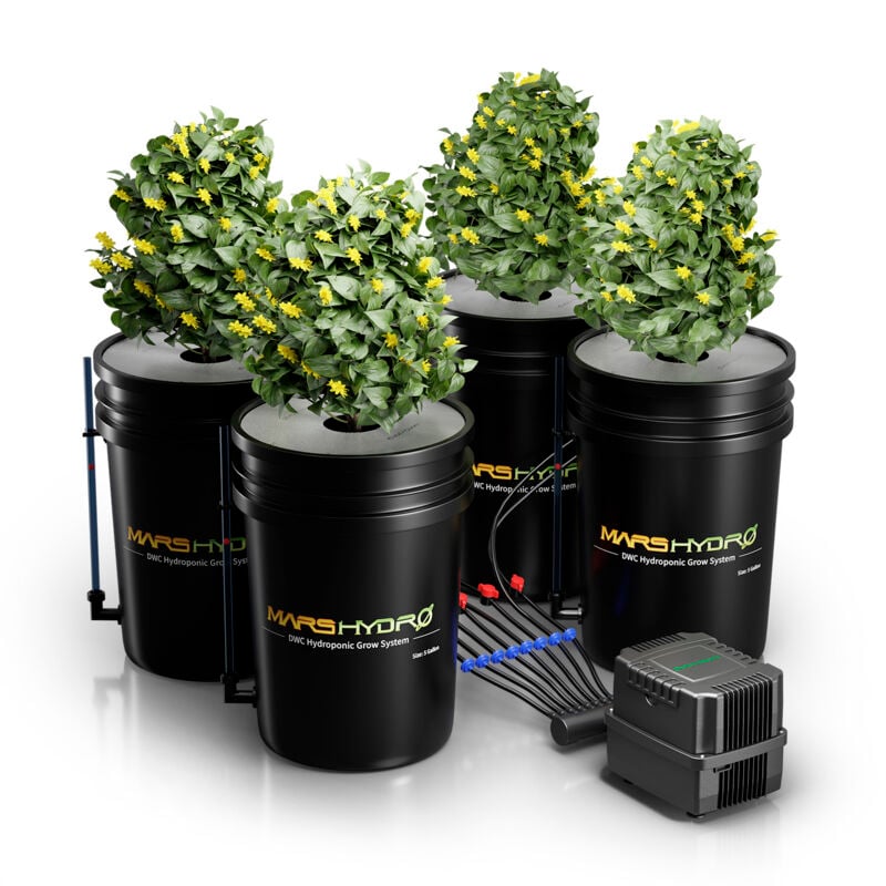 5-Gallon DWC Hydrokultur Toolkit mit 4-Zylindern und 8-W Luftpumpe Mars Hydro