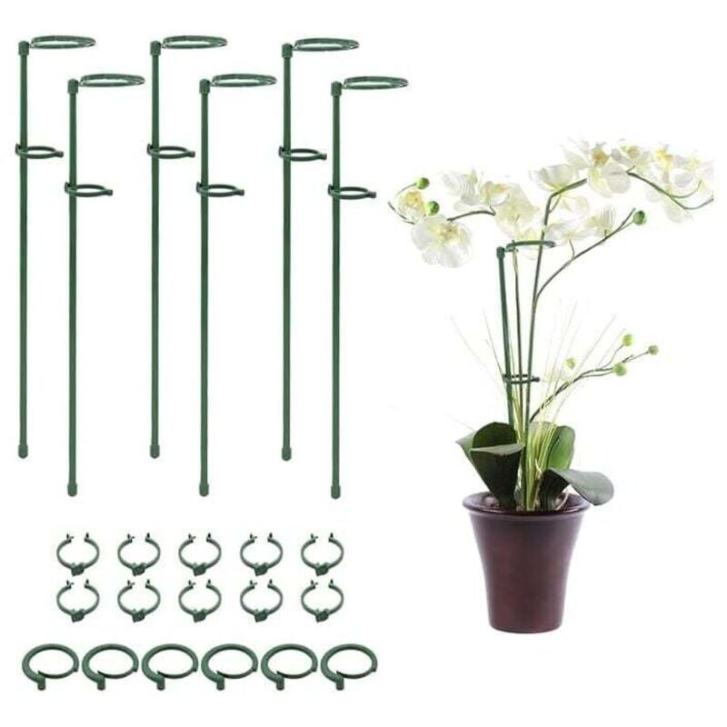 6 Stück Pflanzenkäfig-Stabringe mit Befestigungsschnalle für Pflanzen, Blumen, Orchideen, Pfingstrosen, Rosen, Pflanzenstützstab, Gartenstab,