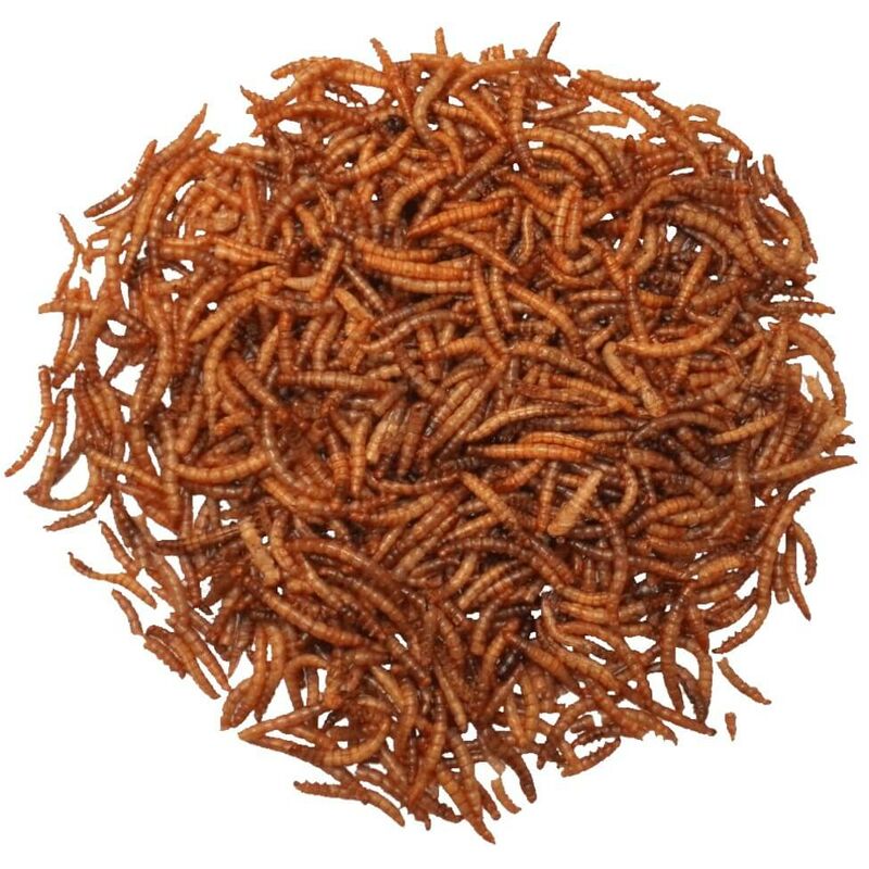 Agrarshop - Mehlwürmer 10 kg Vogelfutter Wintervogelfutter Nahrungsergänzung