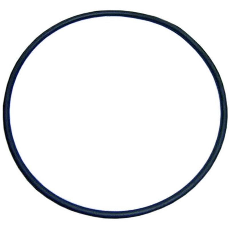 Alaska Poolpumpe Vorfilterdeckel O-Ring - Sena d. 118x4