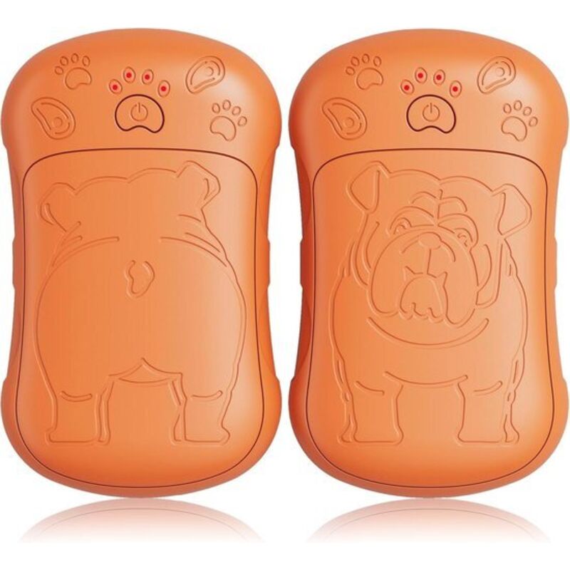 Allecto Plus – Set mit 2 elektrischen Handwärmern mit 6000-mAh-Akku – Wiederverwendbar und wiederaufladbar – Ideal für Outdoor-Sportarten wie Jagen,