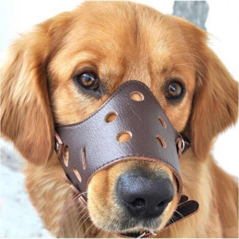 Anti-Bell-Maulkorb aus Leder für große, kleine, mittelgroße und große Hunde.