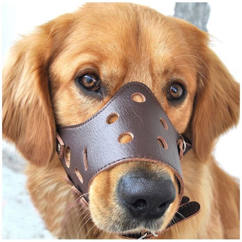 Antibell-Maulkorb aus Leder für große Hunde – Größe L für 20–37 kg – Umfang 23–26 cm – Komfort und Sicherheit garantiert