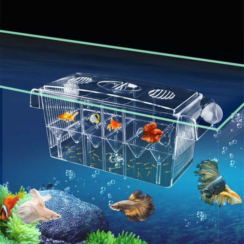 Aquarium Fisch Zucht Box Acryl Saugnäpfe Aquarium Zucht Box Baby Fisch Garnelen Brüterei Isolation Box Zucht Aquarien Brüterei Box Guppy Tropical