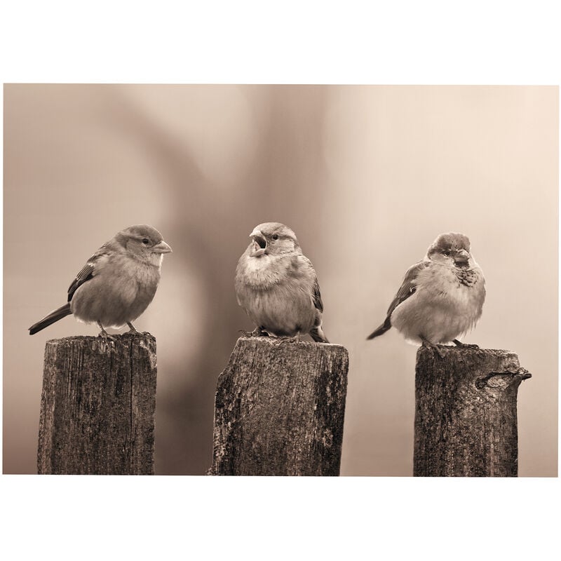 Outdoor Leinwandbilder Vogel 50x70cm - Art For The Home