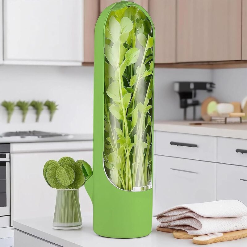 Aufbewahrungsbox für den Kühlschrank, ideal zur Aufbewahrung von Kräutern, Koriander, Spargel und anderem Gemüse im Kühlschrank für 2 bis 3 Wochen