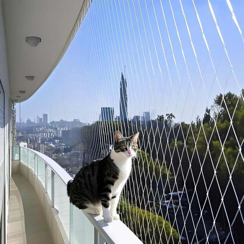 Balkon-Katzennetz, 5x5m Anti-Vogelnetz, Balkon-Katzennetz, Vogelnetz aus Nylonfaden, Katzenschutznetz, Gartennetze, Erdbeerschutznetz, Pro