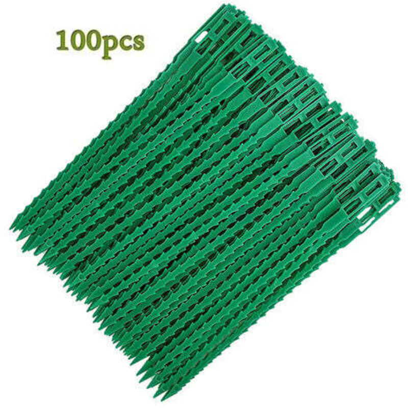 Befestigt verstellbare Teile für 100 Pflanzen. - Kunststoff-Sperrdraht für den Garten. - Wiederverwendbare Kabel für grüne Pflanzen und Bäume, 13 cm