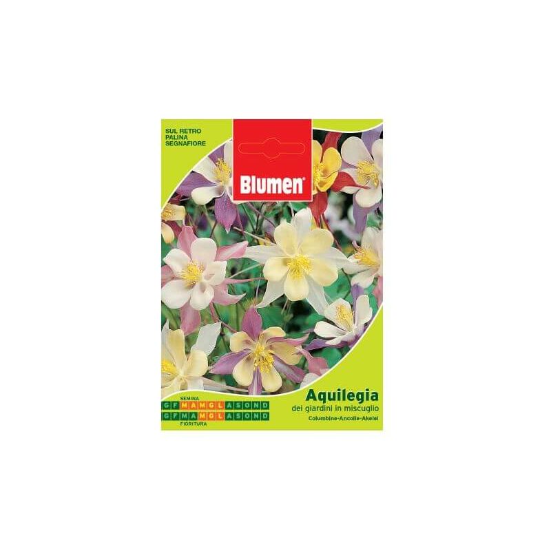 Beutel mit Aquilegia-Samen der Gärten in einer Mischung