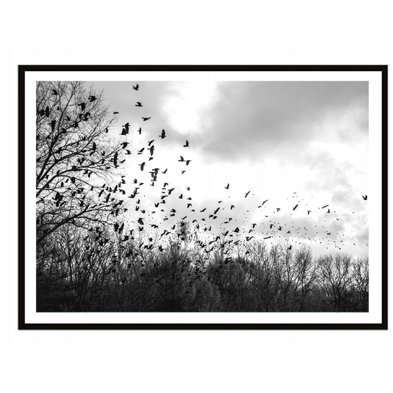 BILDERRAHMEN FÜR PLAKATE 53x73 cm Vögel P1996