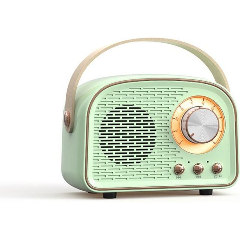 Bluetooth-Lautsprecher – niedlicher Mini-Lautsprecher – Lautsprecher – tragbarer kabelloser Bluetooth-Lautsprecher – Gemüse