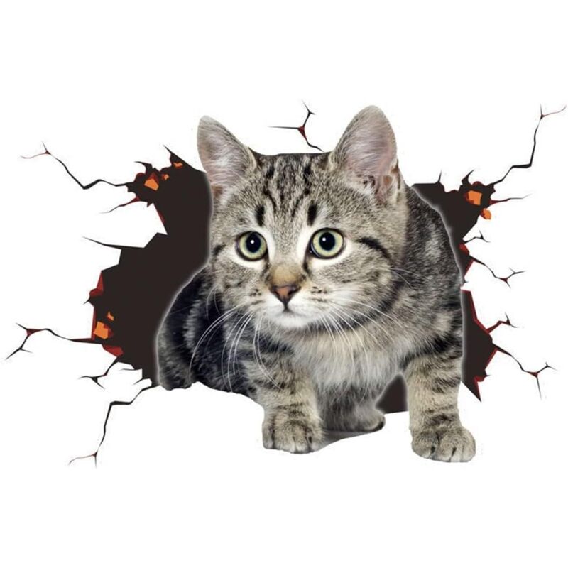 18 x 13 cm) Autoaufkleber, 3D-Autoaufkleber, Katzen-Autoaufkleber, Katzenaufkleber, Autodekoration, personalisierte Autoaufkleber - Ccykxa