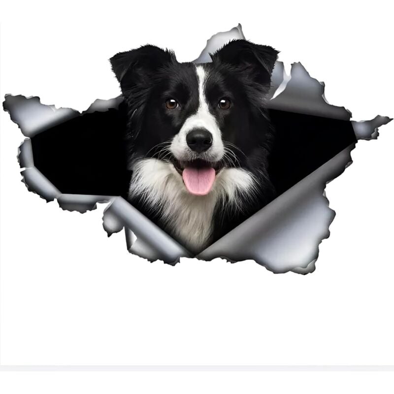 Autoaufkleber 25 cm (9,8 Zoll) Border Collie Aufkleber Lustiger Border Collie Autoaufkleber Haustier Hund Wasserdichter Aufkleber 3D zerrissene
