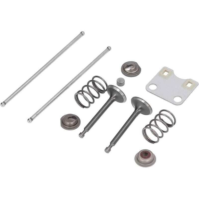 Rasenmäher-Ventilfeder-Set Ventilplatten-Schutzabdeckung für 14791-ZE1-010 für GX160 GX200 5,5 ps 6,5 ps Rasenmäher-Ersatzzubehör - Ccykxa