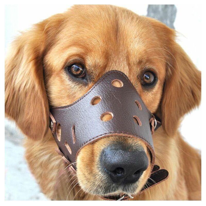 CHOYCLIT Hundemaulkorb aus Leder, Anti-Bell-Maulkorb für große, kleine und mittelgroße Hunde, Größe L