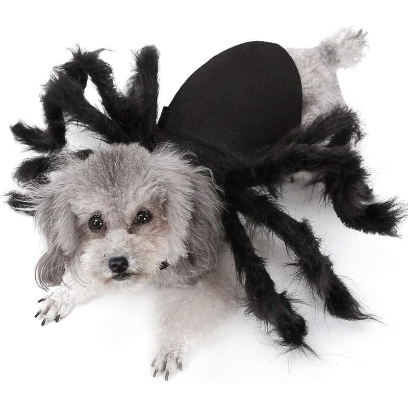 Halloween-Spinnenkostüm für Hunde, Haustierkleidung, Cosplay-Kostüm in Spinnenform, Katzen- und Hunde-Rollenspiel, Verkleidung für Halloween,