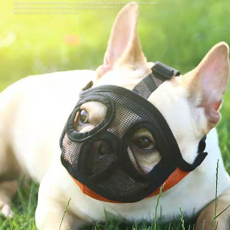 Orange Farbe Größe S (6 - 13,5 kg) Mesh Hund Maulkorb Kurze Schnauze Hund Maulkorb M