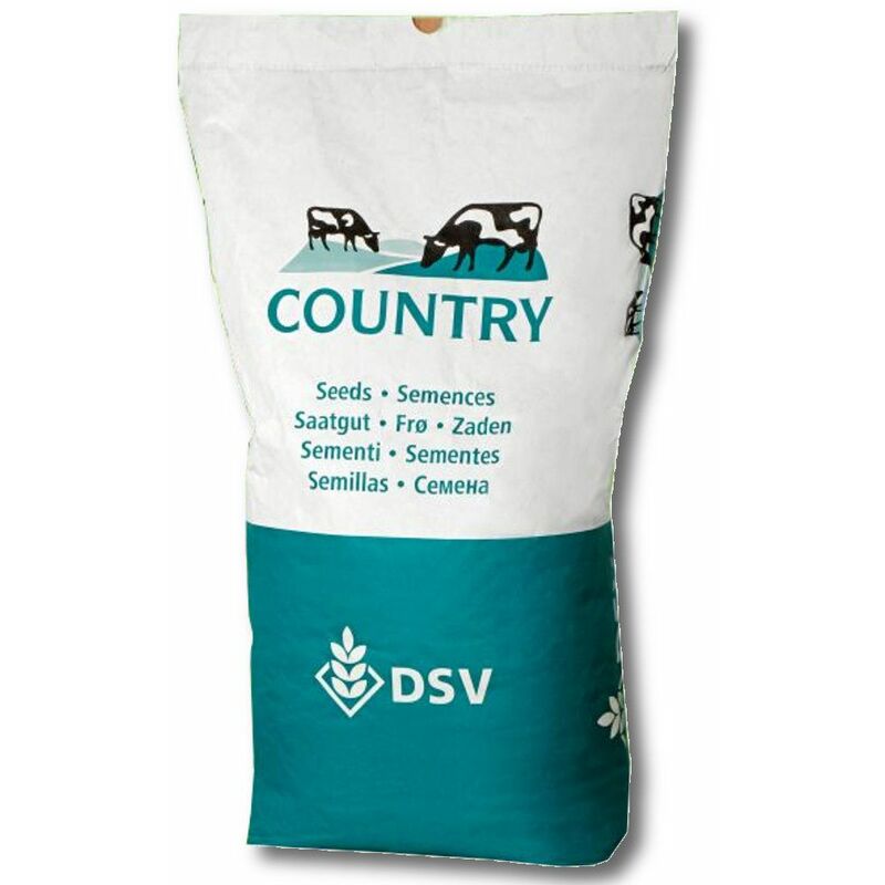 DSV COUNTRY Energy 2026 Eiweiß 25 kg Weidesamen Grassamen Grünlandeinsaat
