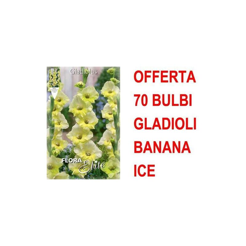 Dünger für Erdbeeren, kleine Früchte, 1 kg, Phyto-Bio