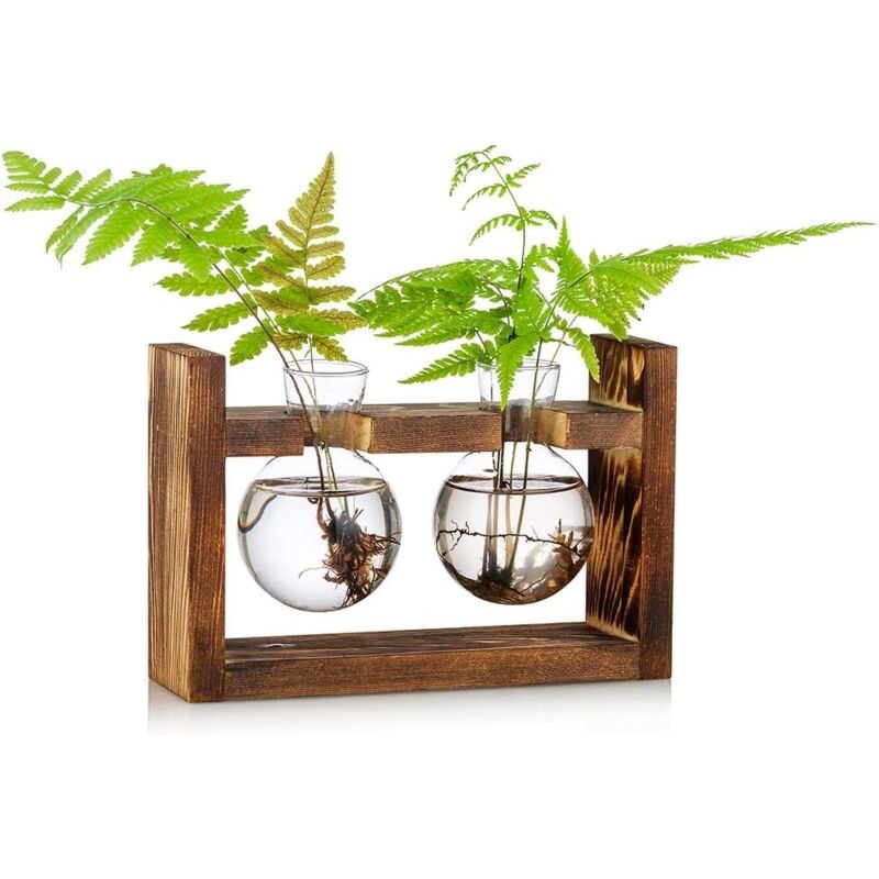 Eichel-Glasvase für Blumen, Terrarium, Pflanzgefäß mit Holzständer