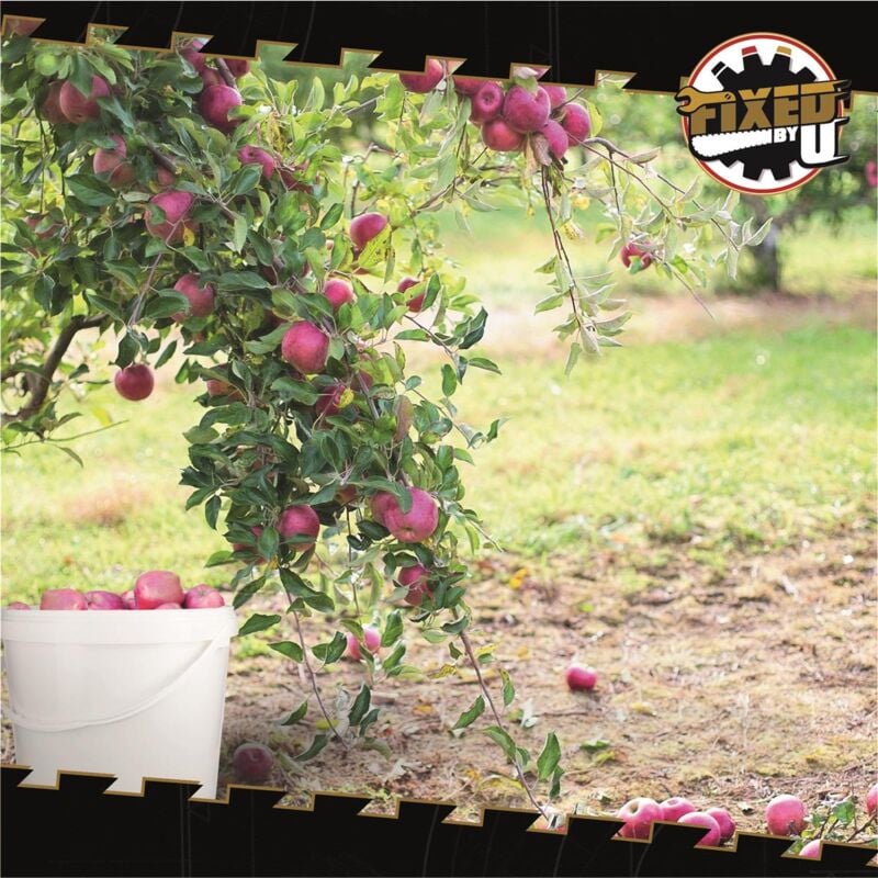 Eimer mit Deckel 10 Liter in Weiß - 5 Stück