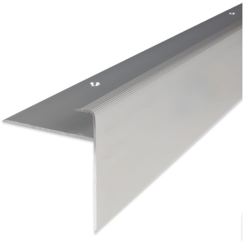 Einschubprofil 'Castlebar' mit Nase für Parkett / Laminat, Einfasshöhe 10 mm, Aluminium eloxiert, gebohrt-silber-1000