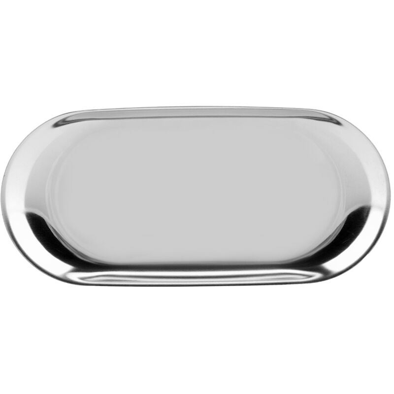 Eosnow - Aufbewahrungstablett aus Edelstahl im nordischen Stil für Kosmetik, Schmuck, Kuchenteller für Büroschreibtische (Silber l)