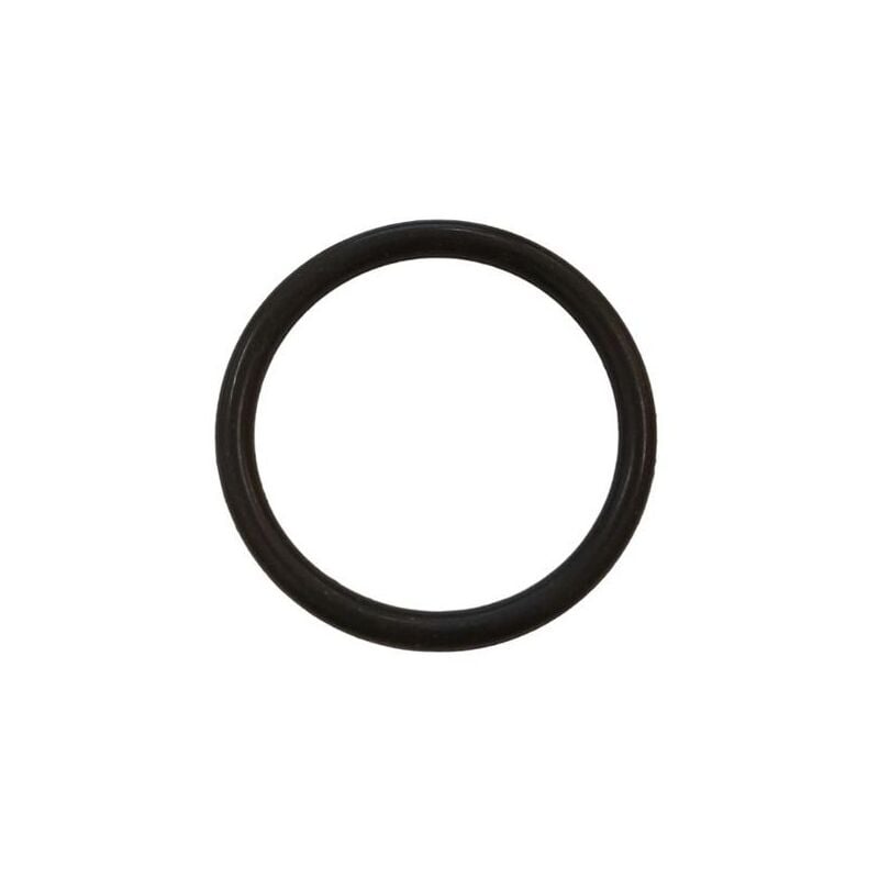 Aquaristikwelt24 - Ersatzteil Dichtung O-Ring für Tülle Teichfilter cpf cpa 2500 Teichpumpe cet 8000