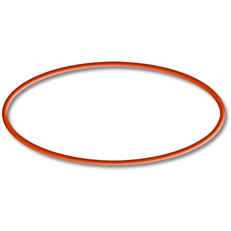 Sunsun - Ersatzteil für CET-15000 Teichpumpe – O-Ring – für Teich, Gartenpumpe, Skimmer, Bachlauf Zubehör