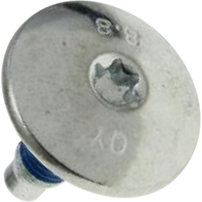 Candy,hoover - Ersatzteil - Riemenscheibenschraube M10 - - candy, saba, hoover, haier, zerowatt, otsein