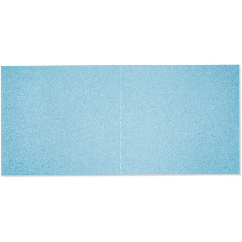 Schleifblätter stf 46X178 P80 gr 10 Stk - Festool