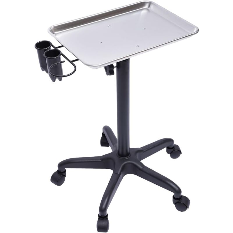 Friseur Arbeitswagen Friseurwagen Aluminium Justierbare Höhe Professionell Beweglich Wagen Für Friseur (Farbe: Silber)