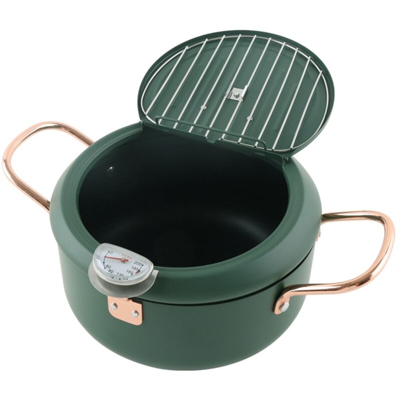 Tlily - Fritteuse aus Edelstahl 304, Fritteuse mit Temperaturregelung und Deckel, Tempura-Fritteuse mit Spritzschutz, mit Kühlgitter