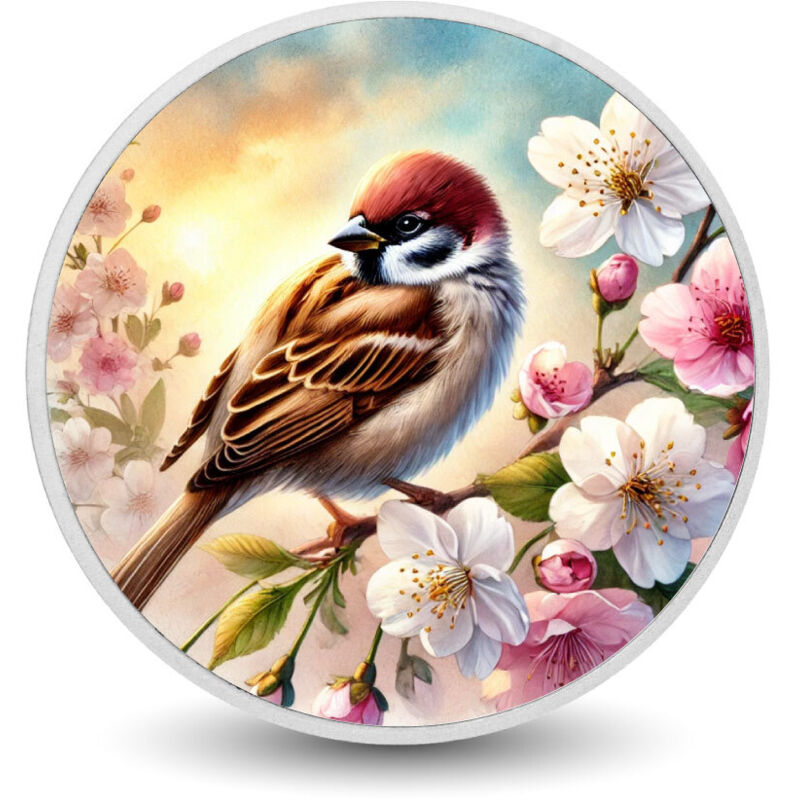 Frühlingsruhe: Spatz unter Blüten 1 Unze Silbermünze