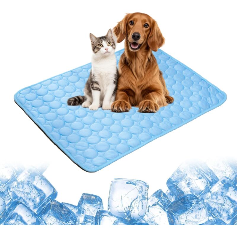 Für Hunde, - Kühlmatte für Hunde und Katzen, Arvento Cat Anti-Hitze-Hundekissen, Kühlmatratze, tragbar, waschbar, Anti-Biss (Blau, S (50 x 40 cm))