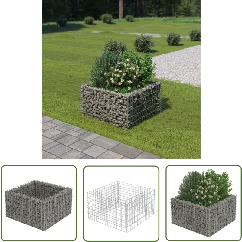 The Living Store Gabionen-Hochbeet Verzinkter Stahl 90×90×50 cm - Gabionen-Hochbeet - Gabionenpflanze - Gartendekoration - Stahltanks - Balkonpflanzen
