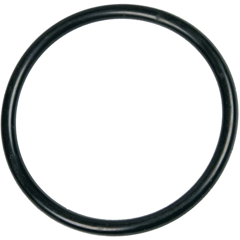 Whirlpool - Ersatzteil - O-Ring für Wassertasche - bauknecht, ignis, laden, kitchenaid, radiola, ikea, brandt, rosieres, nilfisk, ariston hotpoint,