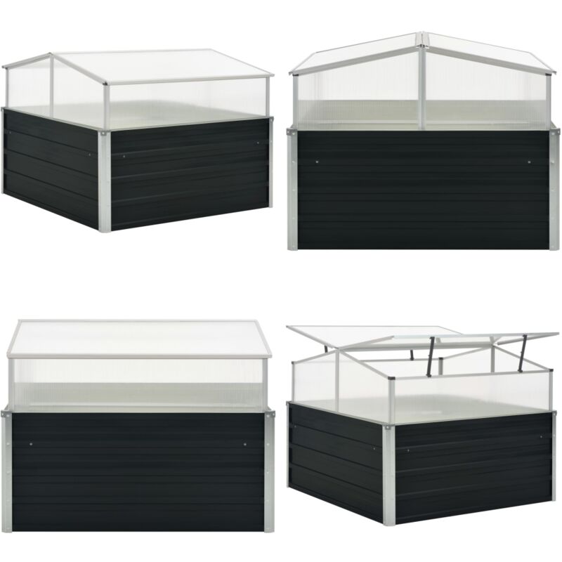 Vidaxl - Gewächshaus Anthrazit 100x100x77 cm Verzinkter Stahl - Balkonpflanzen - Gartengewäschshaus - Blumenerde - Pflanzenbehälter - Terrassenmöbel