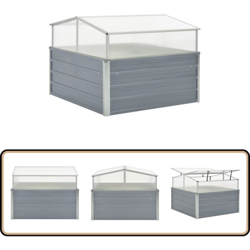 Gewächshaus Grau Verzinkter Stahl 100×100×85 cm - Gartengewächshaus - Gewächshaus Metall - Pflanzenhaus - Blumenerzeugnisse - Grünpflanze