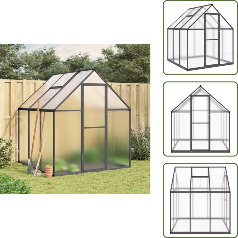 Vidaxl - Gewächshaus mit Fundamentrahmen Anthrazit 169x169x195 cm Alu - Alu-Gehäuse - Treibhaus - Gewächshaus - Gartenhaus - Pflanzenzucht